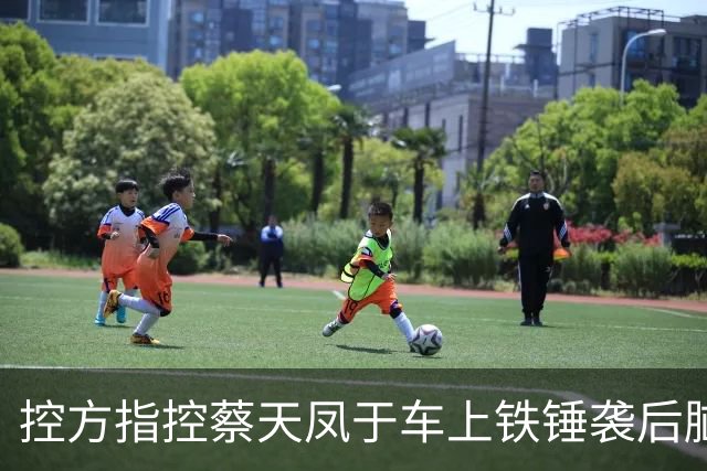 控方指控蔡天凤于车上铁锤袭后脑,锤柄检出DNA 锤头未见人体组织